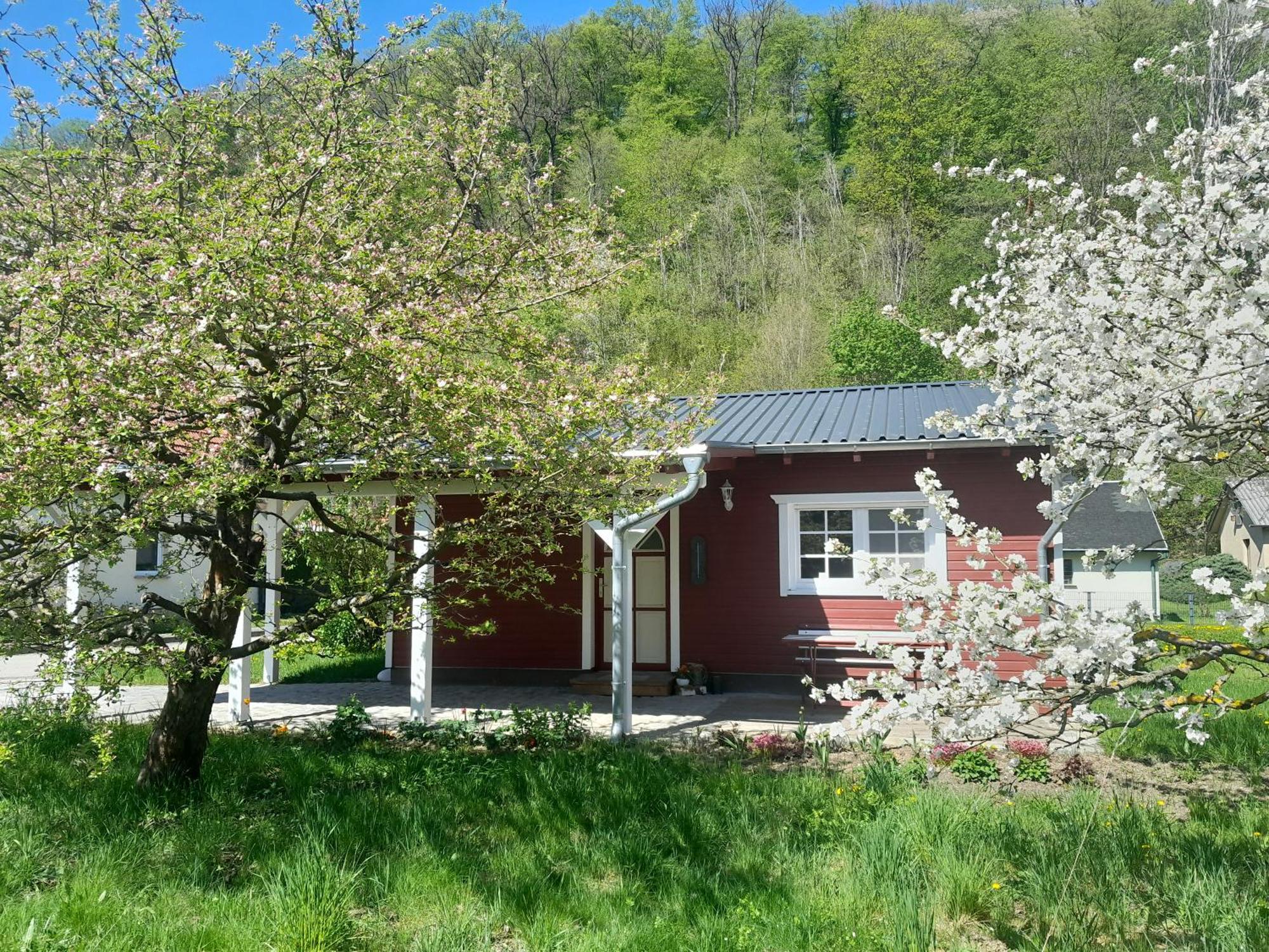 Ferienhaus Am Wald Wippra Exterior photo